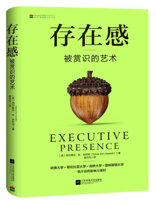 存在感(2016年江苏凤凰文艺出版社出版的图书)