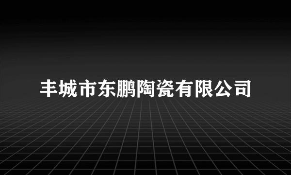 丰城市东鹏陶瓷有限公司