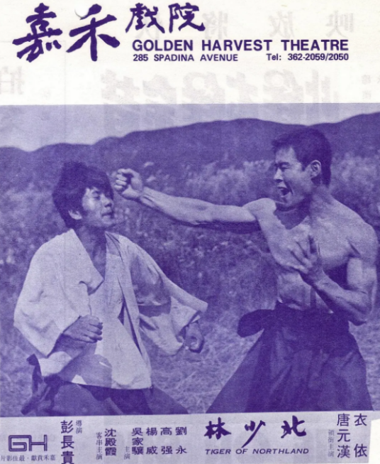 北少林(1976年彭长贵执导的动作电影)