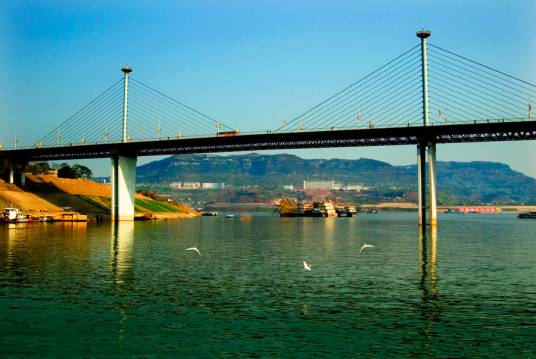 万安大桥(中国重庆市境内桥梁)