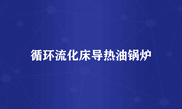 循环流化床导热油锅炉