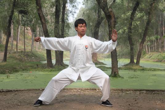 朱峰(陈式太极拳第十一代传人、非物质文化遗产项目陈氏太极拳代表性传承人)