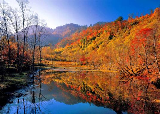 四川二郎山国家森林公园