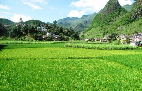 三江口镇(湖南省郴州市汝城县下辖镇)