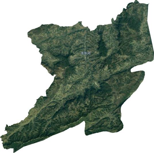 水东镇(贵州省毕节市纳雍县下辖镇)