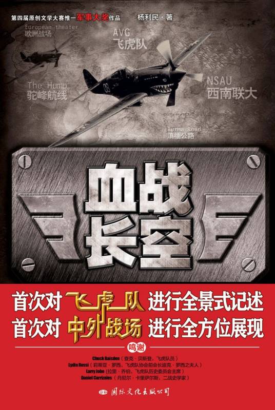 血战长空(2012年国际文化出版公司出版的图书)