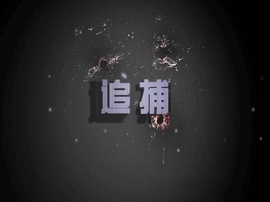 追捕(2011年陈晓雷执导电影)