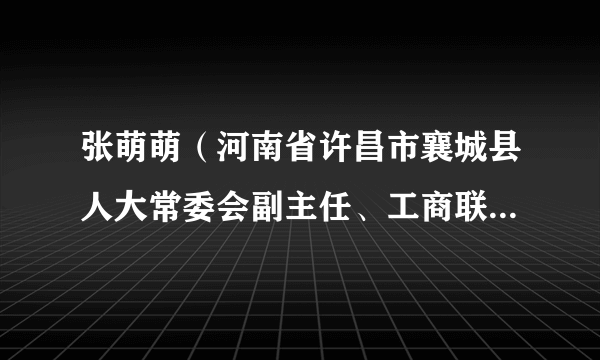 张萌萌(河南省许昌市襄城县人大常委会副主任、工商联(总商会)主席)