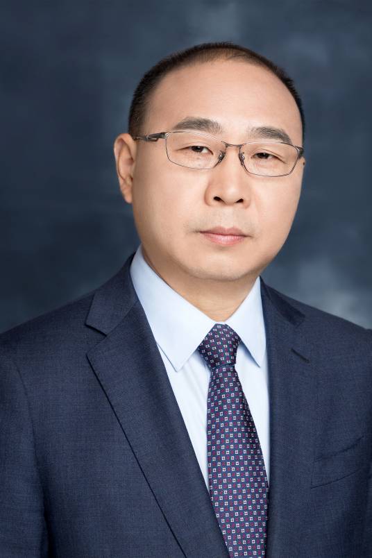 罗云(知名知识产权律师)