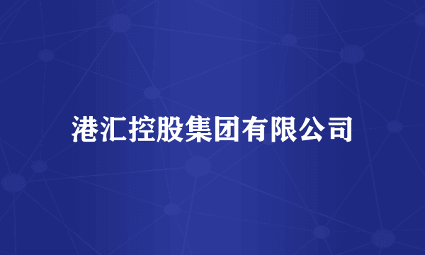 港汇控股集团有限公司