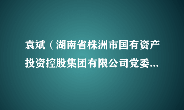 袁斌（湖南省株洲市国有资产投资控股集团有限公司党委委员、副总经理）
