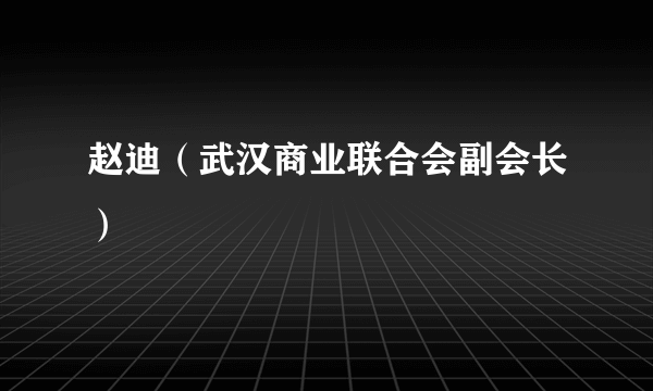 赵迪（武汉商业联合会副会长）