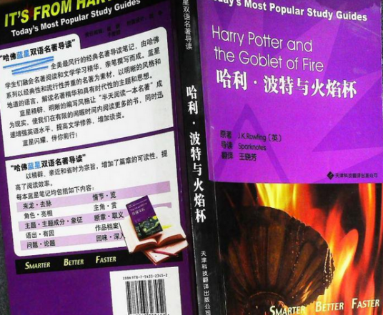 哈利·波特与火焰杯(2008年天津科技翻译出版公司出版的图书)