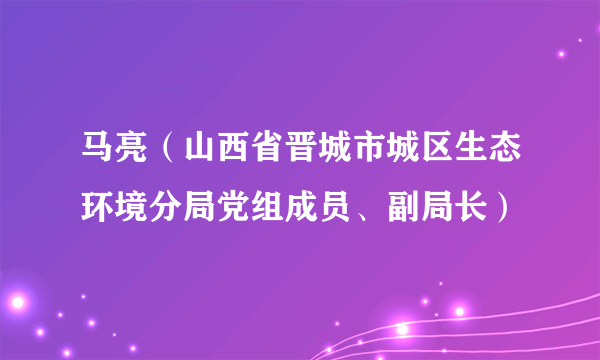 马亮（山西省晋城市城区生态环境分局党组成员、副局长）
