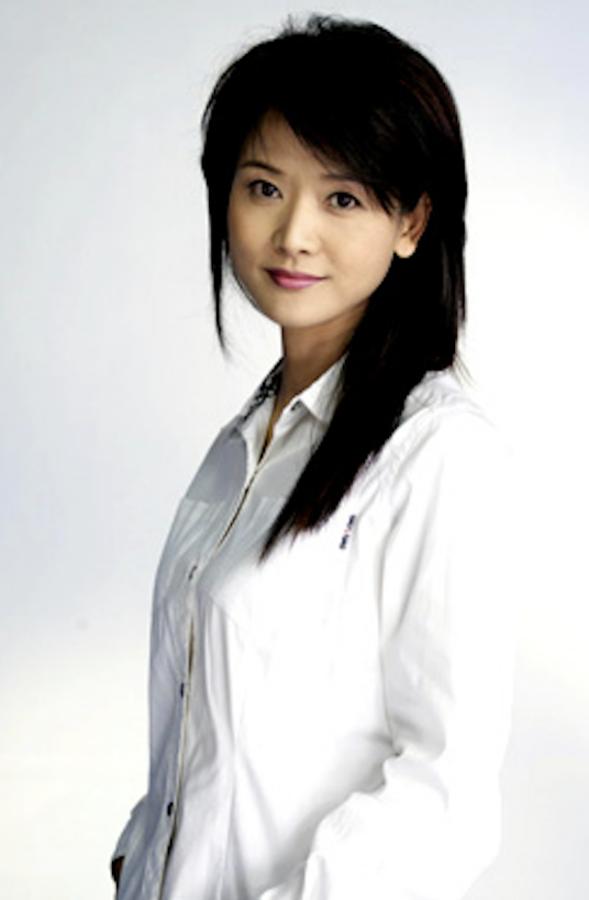 白延琴(凤凰卫视时事类节目主持人)