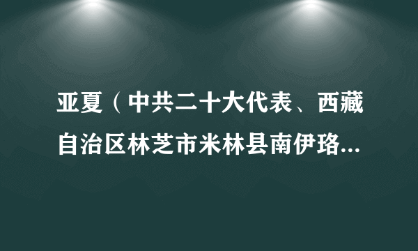 亚夏(中共二十大代表、西藏自治区林芝市米林县南伊珞巴民族乡南伊村妇联主席)
