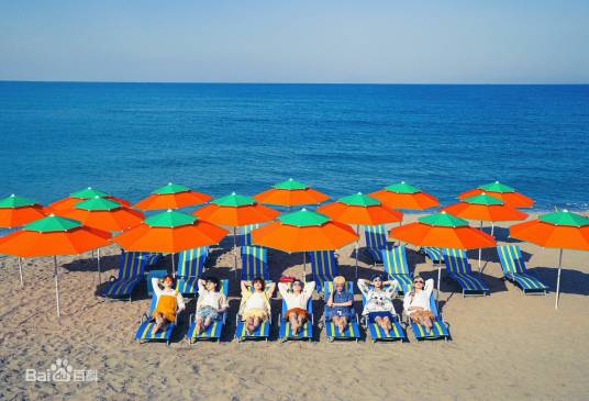 bird(防弹少年团录唱歌曲)