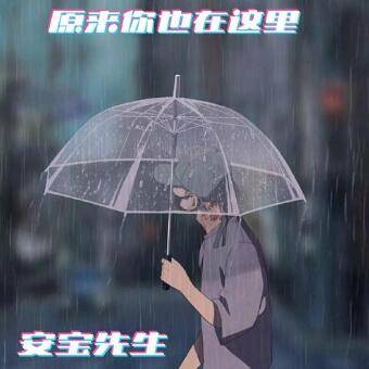 原来你也在这里(安宝先生演唱的歌曲)