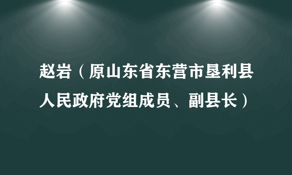 赵岩（原山东省东营市垦利县人民政府党组成员、副县长）