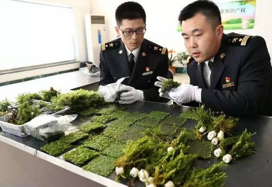 检疫（防止传染病传播的预防措施）