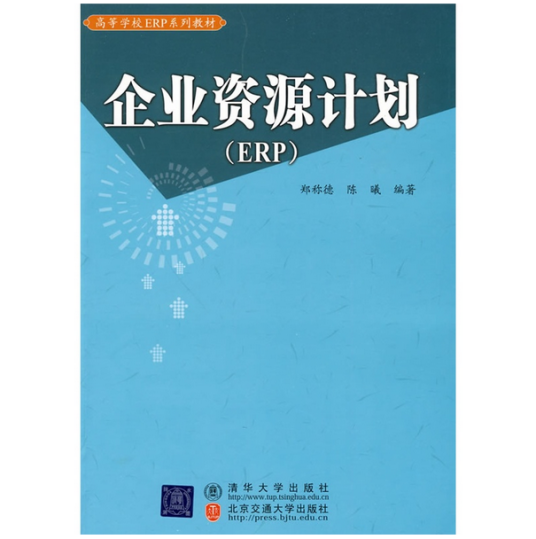 企业资源计划（2010年清华大学出版社出版的图书）