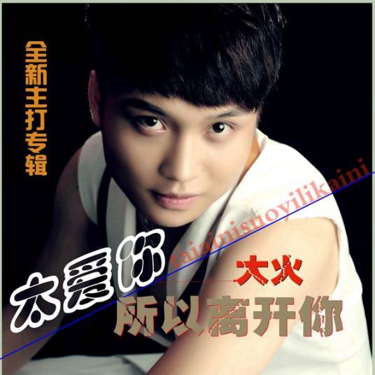 大火（中国内地男歌手）