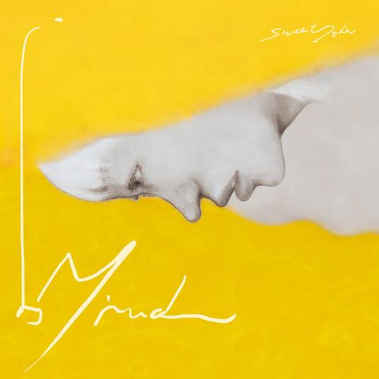 不小心爱上你（2022年甜约翰、魏如萱演唱的歌曲）