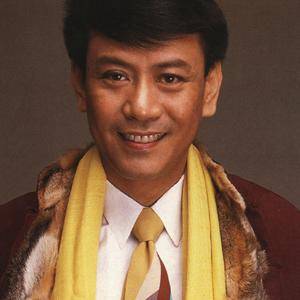 狮子山下(罗文演唱专辑)