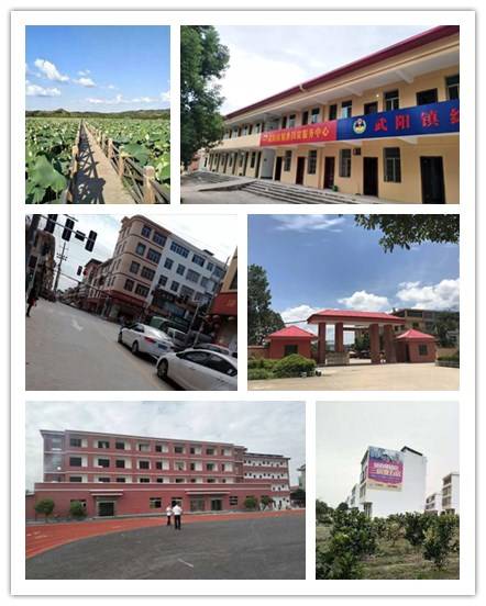 武阳镇(江西省瑞金市下辖镇)