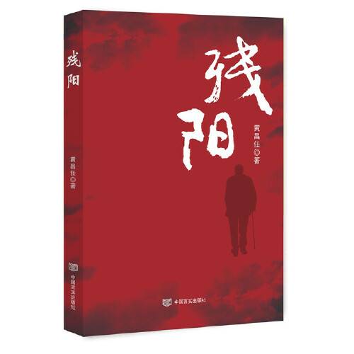 残阳(2018年中国言实出版社出版的图书)
