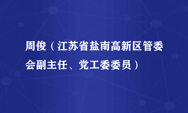 周俊(江苏省盐南高新区管委会副主任、党工委委员)