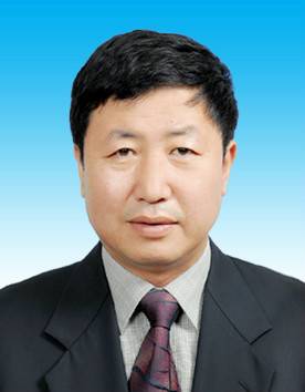 张岭（北京市大兴区人大常委会原党组成员、副主任）