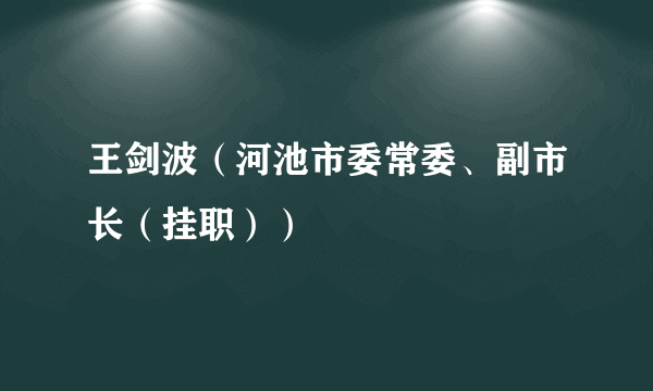 王剑波(河池市委常委、副市长(挂职))