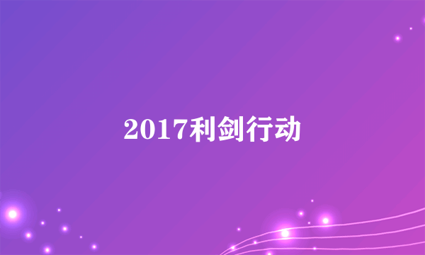 2017利剑行动