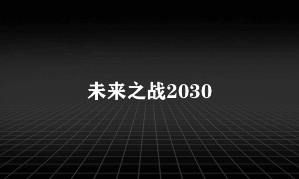 未来之战2030