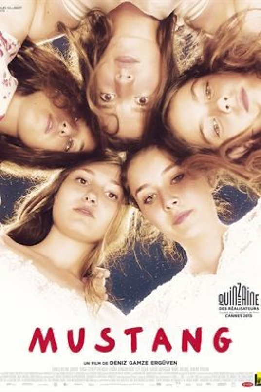 野马(土耳其等国2015年蒂尼斯·艾葛温执导电影)