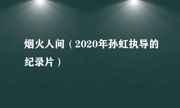 烟火人间（2020年孙虹执导的纪录片）