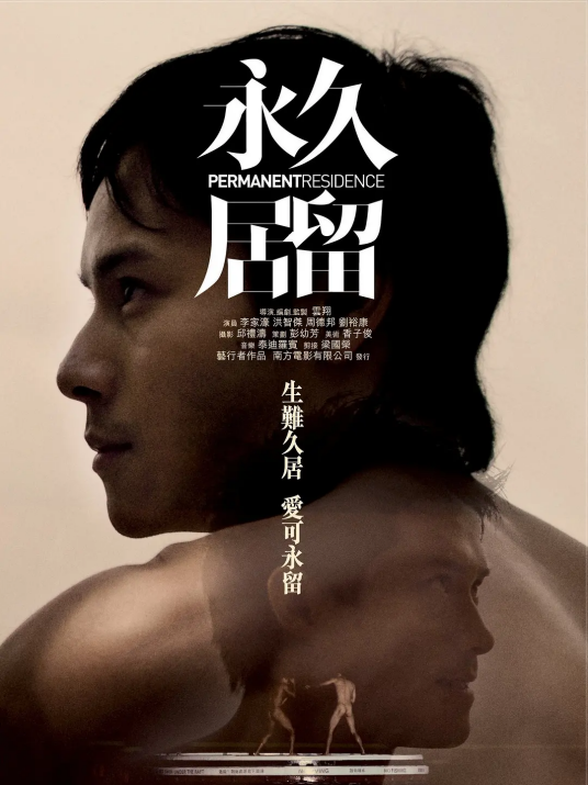 永久居留(2009年云翔执导电影)