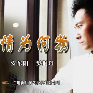 情为何物（香港电视剧）