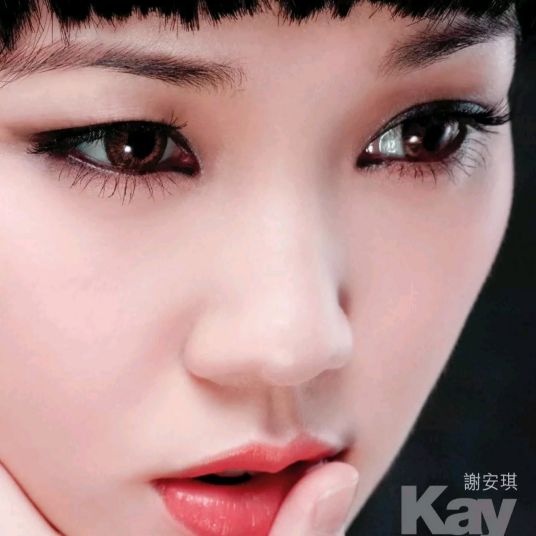 节外生枝（2007年谢安琪演唱的歌曲）