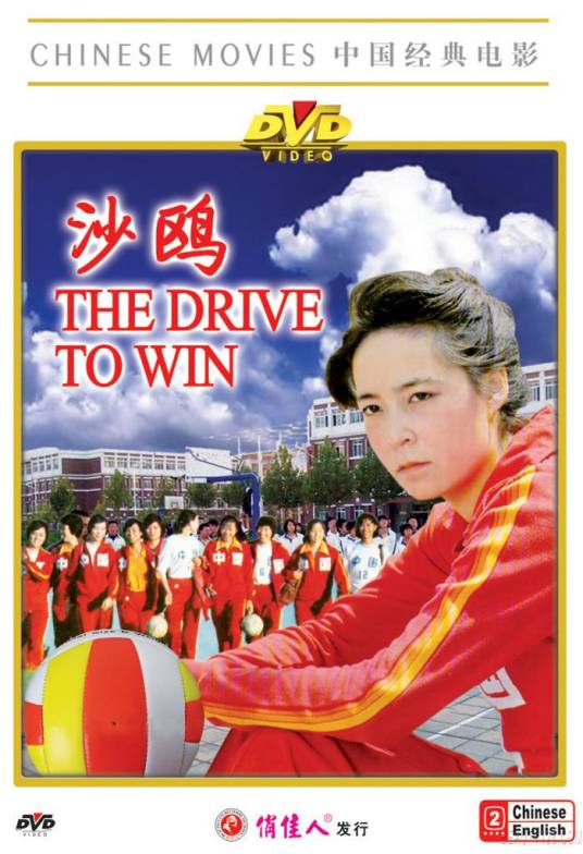 沙鸥（1981年张暖忻执导的电影）