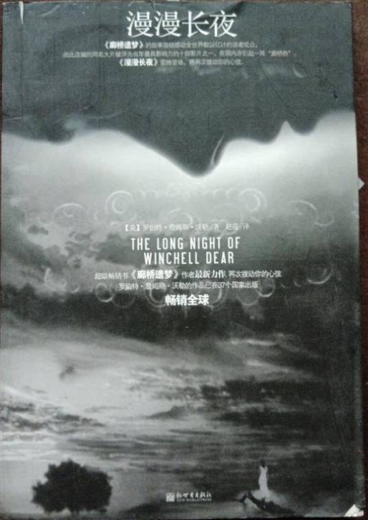 漫漫长夜(2008年新世界出版社出版的图书)