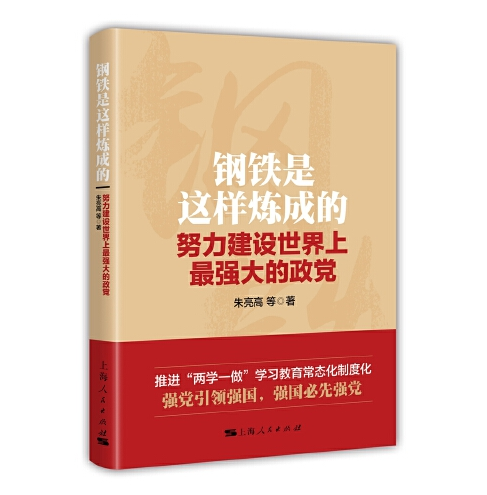 钢铁是这样炼成的（2017年上海人民出版社出版的图书）
