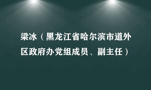 梁冰(黑龙江省哈尔滨市道外区政府办党组成员、副主任)