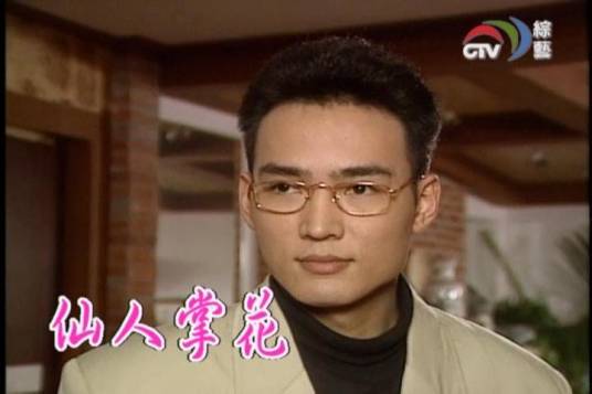 仙人掌花（1993年梁修身执导的喜剧）