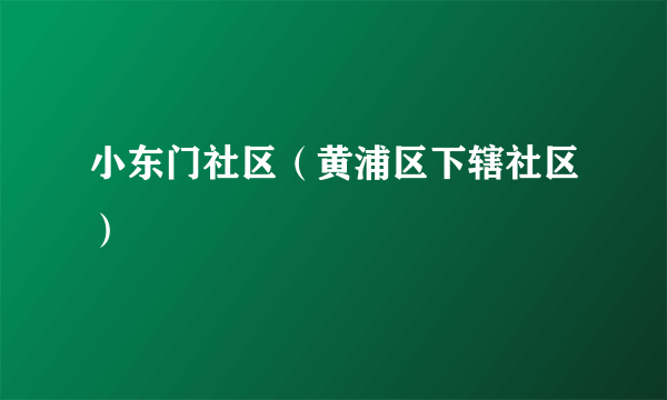 小东门社区（黄浦区下辖社区）