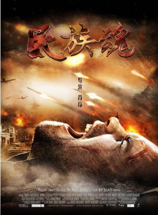 民族魂(2019年肖昂执导电影)
