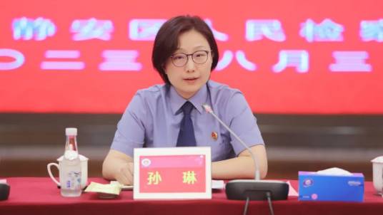 孙琳(上海市宝山区人民检察院检察长)