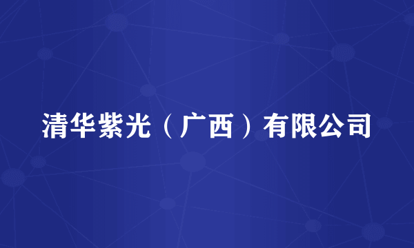 清华紫光(广西)有限公司