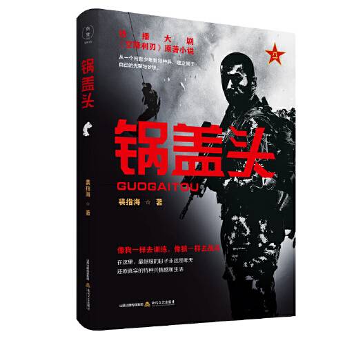 锅盖头(2020年北岳文艺出版社出版的图书)